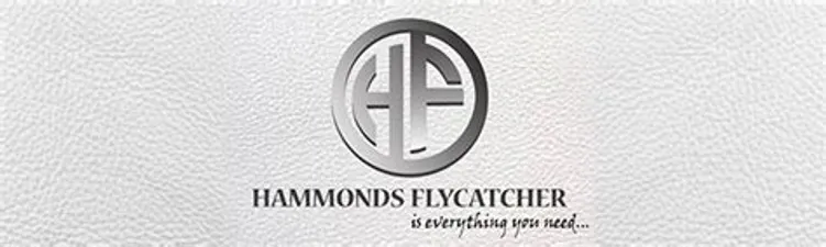 Hammonds Flycatcher